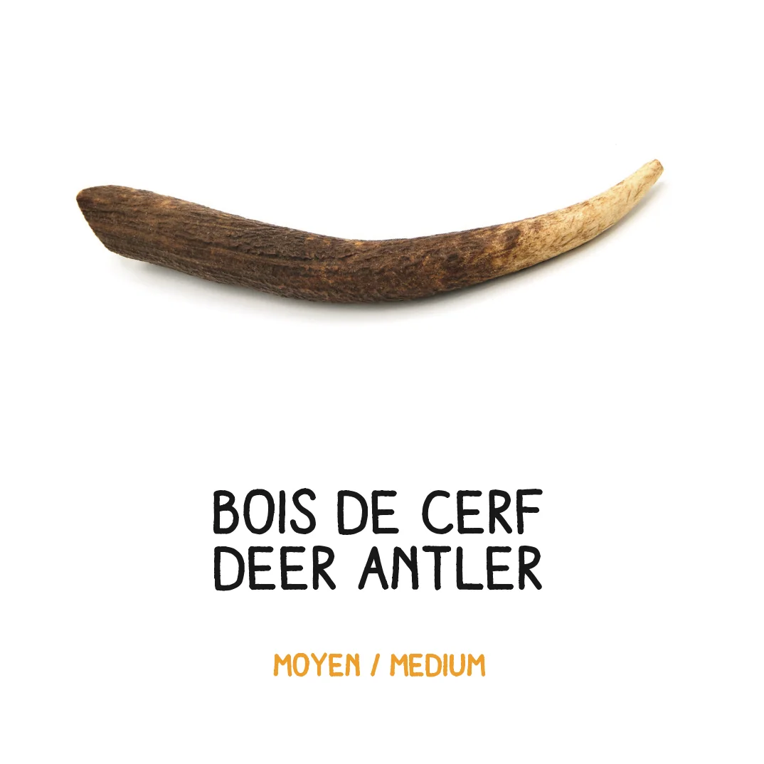 Bois de cerf - M - 61-100g – Image 2