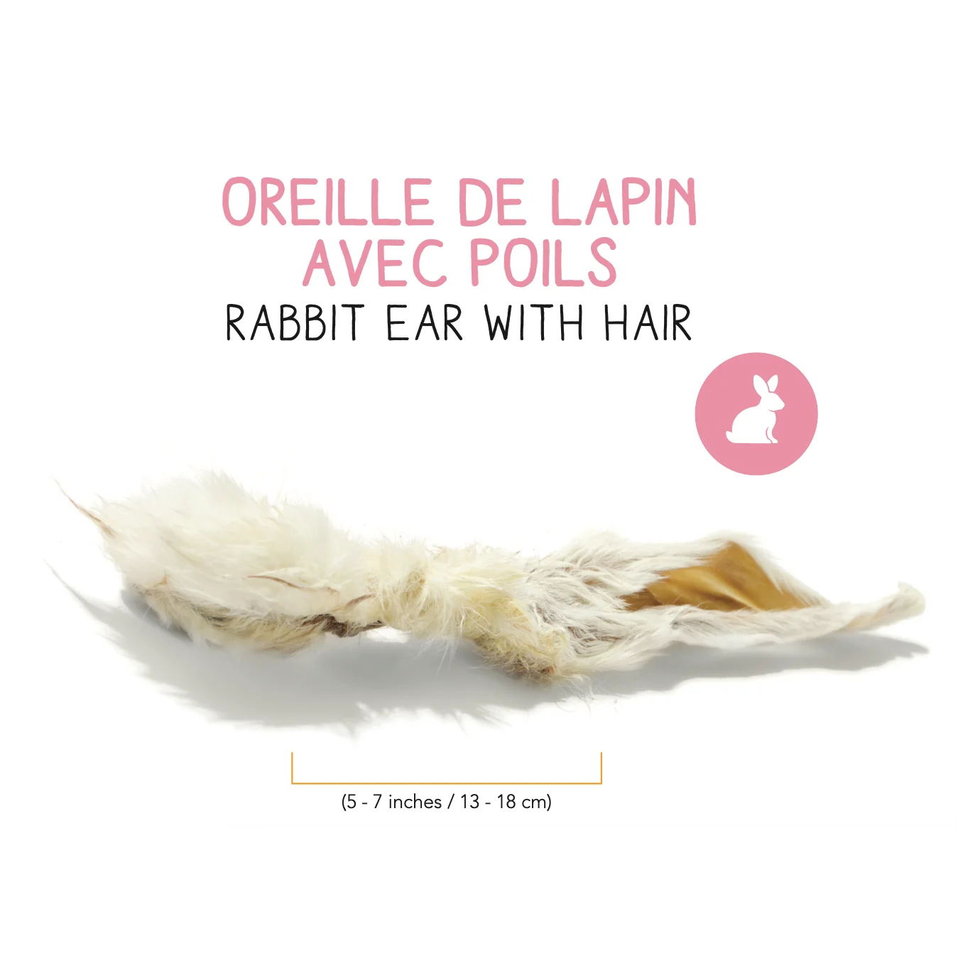 Oreilles de Lapin – Image 2