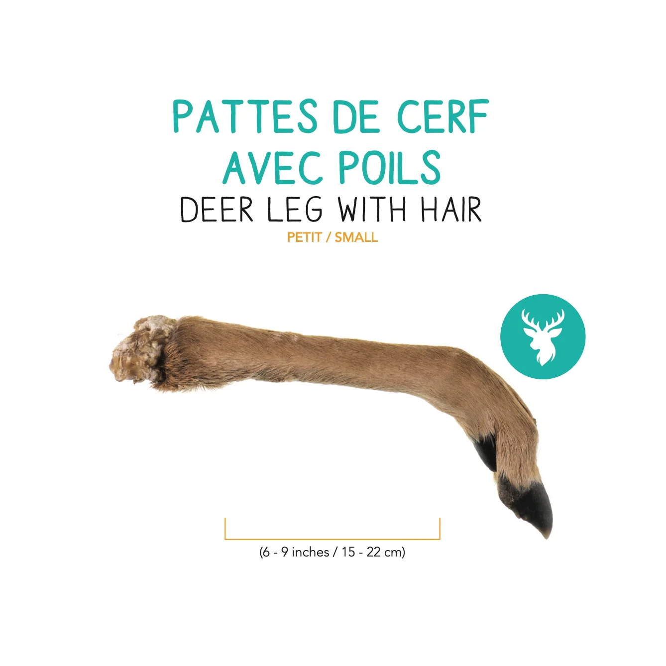 Pattes de cerf deshydratee avec poils - Petit - – Image 2
