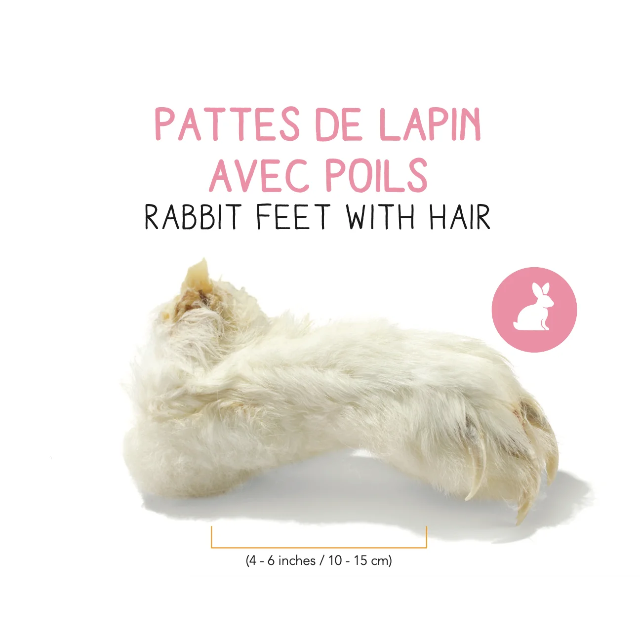 Pattes de Lapin – Image 2